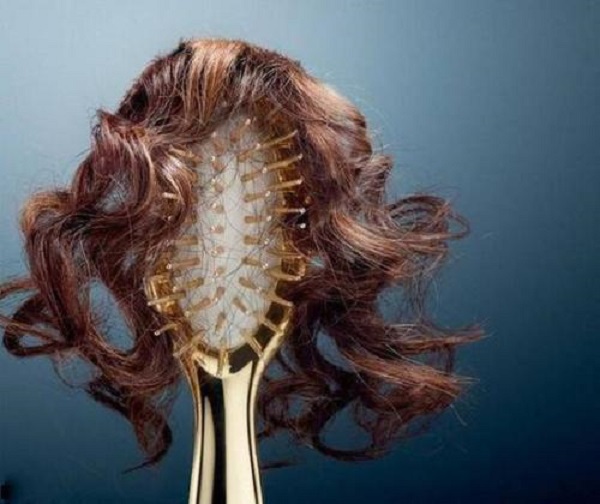 女性脱发是由什么原因导致的