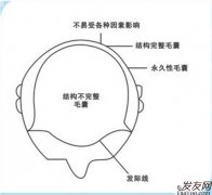 年轻人为什么也脱发，年轻人脱发是怎么回事？