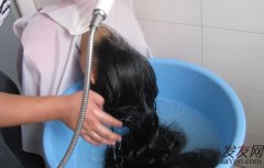 洗头发掉头发怎么办,如何解决洗头掉头发厉害