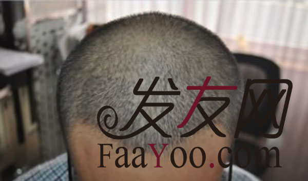 南京科发源2000单位