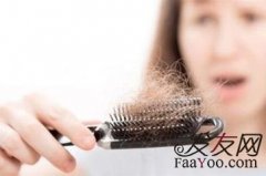 女性什么发质容易导致脱发？
