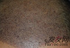 努力很重要，但选择更重要