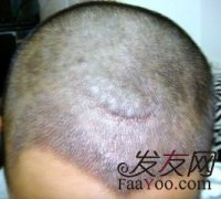 终于在这而立之年，完成了这个愿望