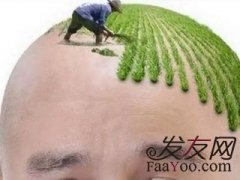 幸好中途没有放弃，庆幸自己的坚持