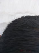 一开始的不太注意导致后来的后悔不已