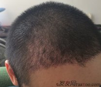 开始工作了我的噩梦也跟着开始了