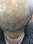 我就抱着拼一拼单车变成摩托的心态选择了这里