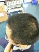最终在经济和效果的权衡之下选择了折中的方案
