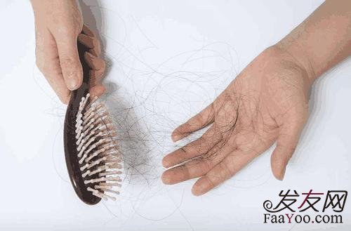 脱发应该多补充一些什么维生素对头发比较好?