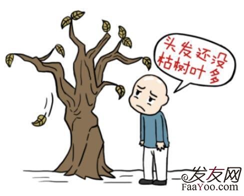 男性容易脱发和什么有关?