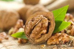 吃核桃能防止脱发吗？