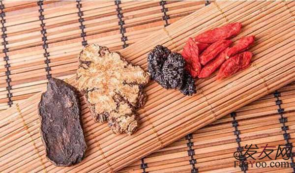 哪些中药可以起到治疗脱发的作用呢?