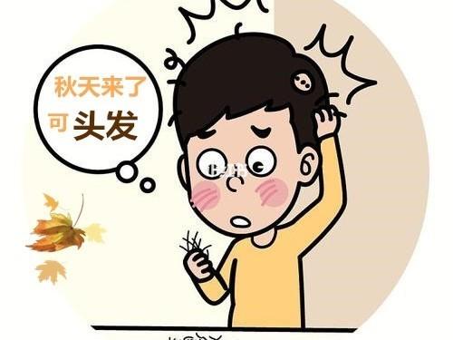 正确认识季节性脱发