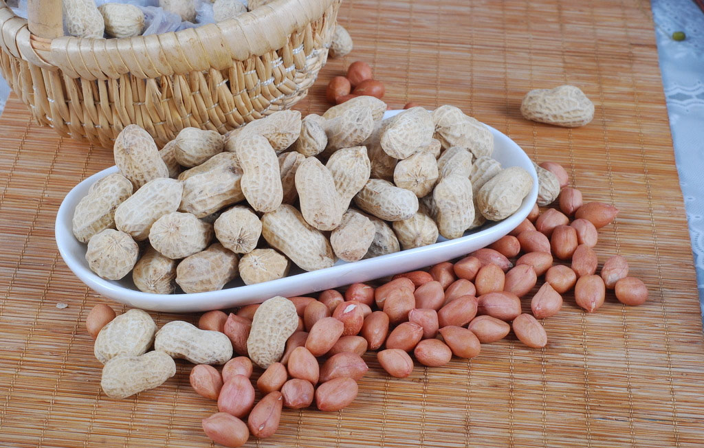 斑秃型脱发应该吃哪些食物调理？