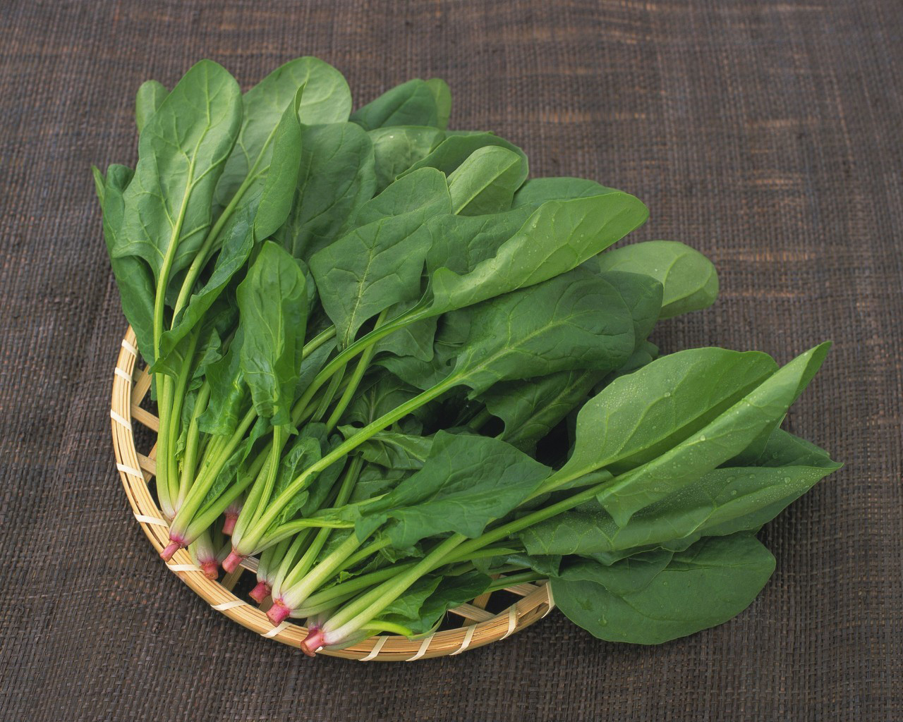 斑秃型脱发应该吃哪些食物调理？