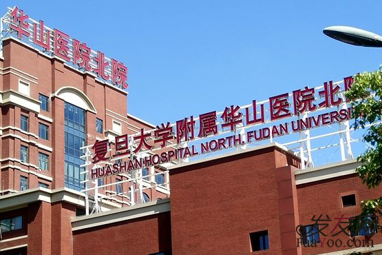 上海公立植发医院哪家好?植发排名及植发效果分享