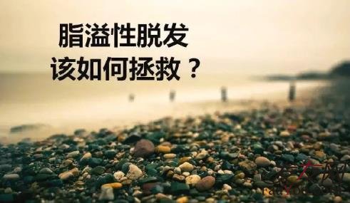 脂溢性脱发只能植发吗？如何判断自己的毛囊状态呢？