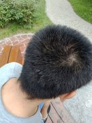 增发纤维拯救了我的人生