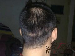 增发纤维果然不负我所望