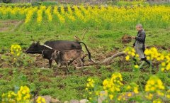 你懂这个道理吗