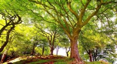 幸运并不是凭空而来的