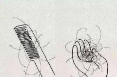 头发脱落时发根的白点是毛囊吗