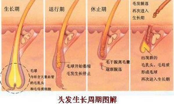 植发后什么样的情况才需要用药
