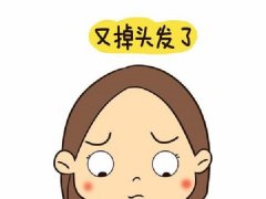 脱发一般都是从什么部位开始的