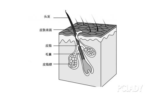 秋季脱发