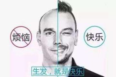 掉头发和脱发有什么区