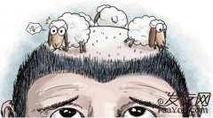 脱发吃什么维生