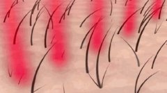 头发变细是怎么回事