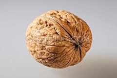 吃核桃可以防止脱发吗