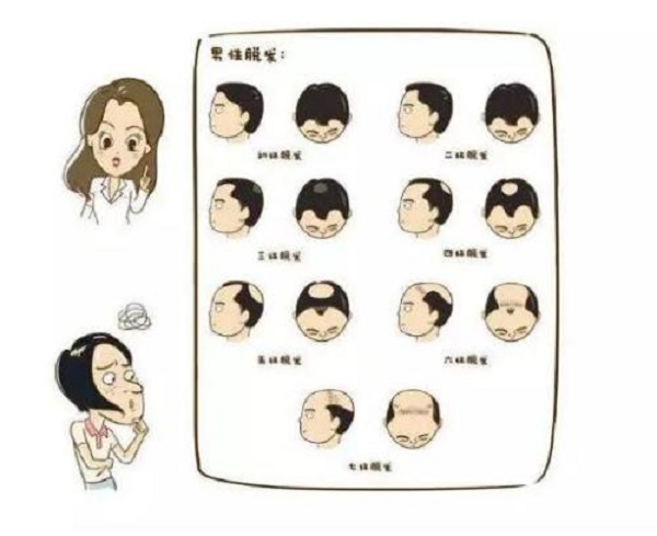 植发后头发的生长过程是什么样的