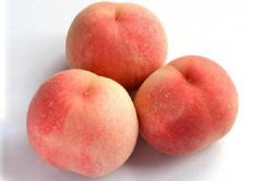 脱发吃什么水果会比较好