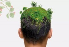 怎么做才能让头发变得浓密