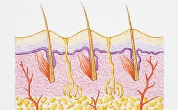 怎么判断自己是否适合植发