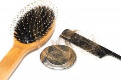 掉落的头发根部的白色是什么