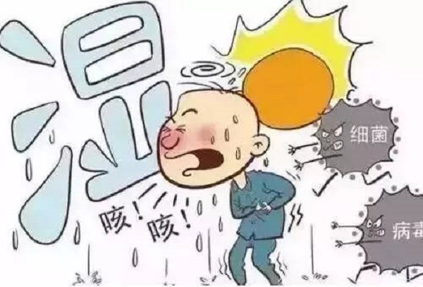 身体湿热会导致脱发吗