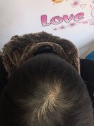 增发纤维的效果太让人惊喜了