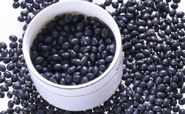 黑豆能治疗脱发吗