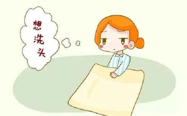 头发太油应该怎么调理