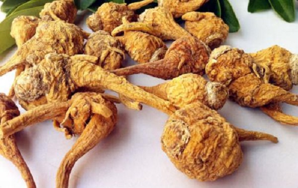 玛咖对头发有作用吗