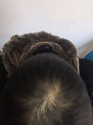 增发纤维的掩饰效果太令人惊喜了