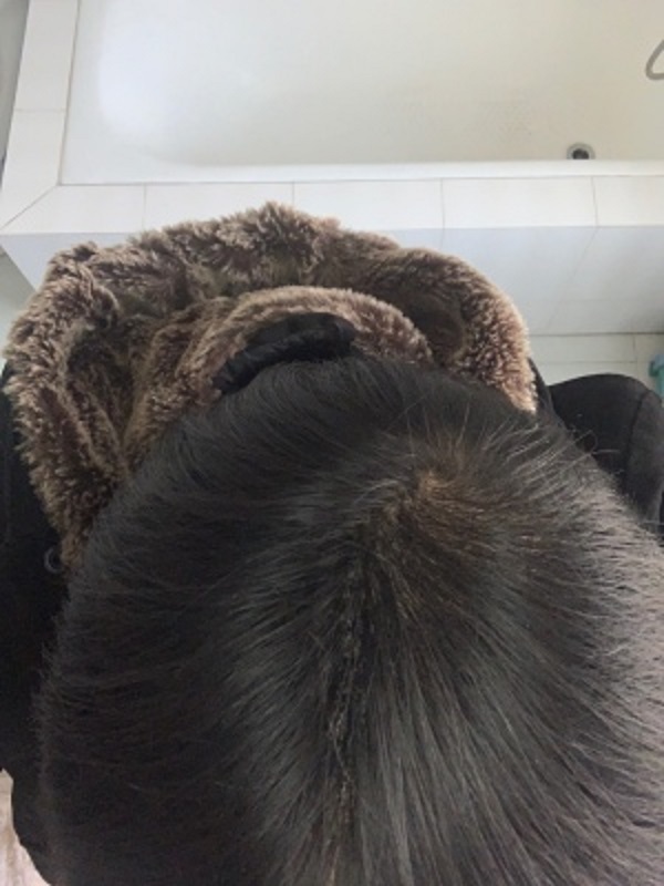 增发纤维的掩饰效果太令人惊喜了