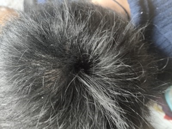 增发纤维粉让我更加的帅气了