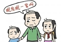 生姜可以治疗遗传性脱发？