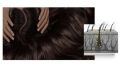 什么样的按摩手法能够防脱发