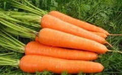 想要防止头发变白应该吃什么食物