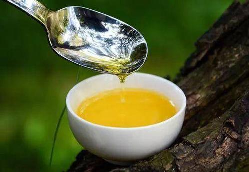 山茶油能够预防脱发吗